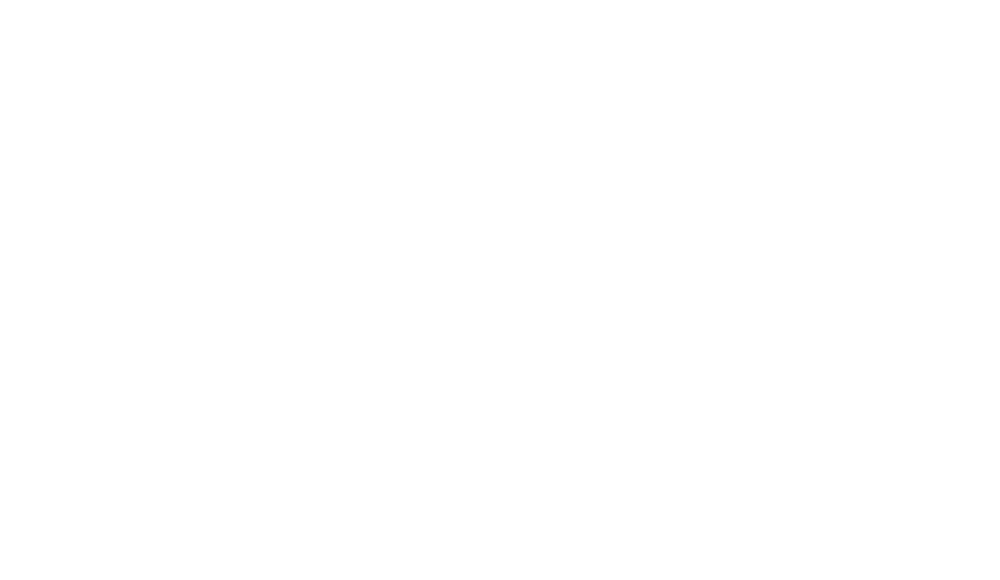 Hermes Paris Wappster