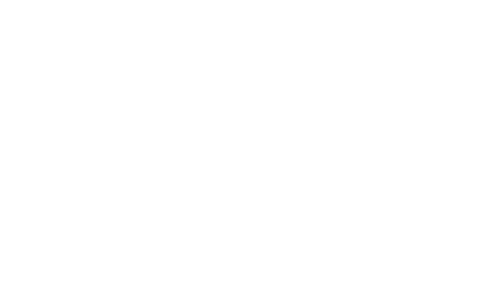 Obelo Wappster